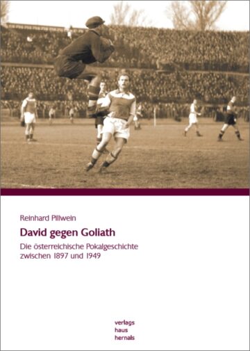 reinhard_pillwein-david_gegen_goliath.jpg